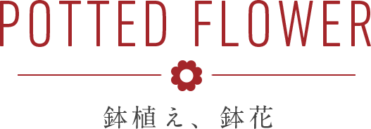 Potted flower - 鉢植え、鉢花