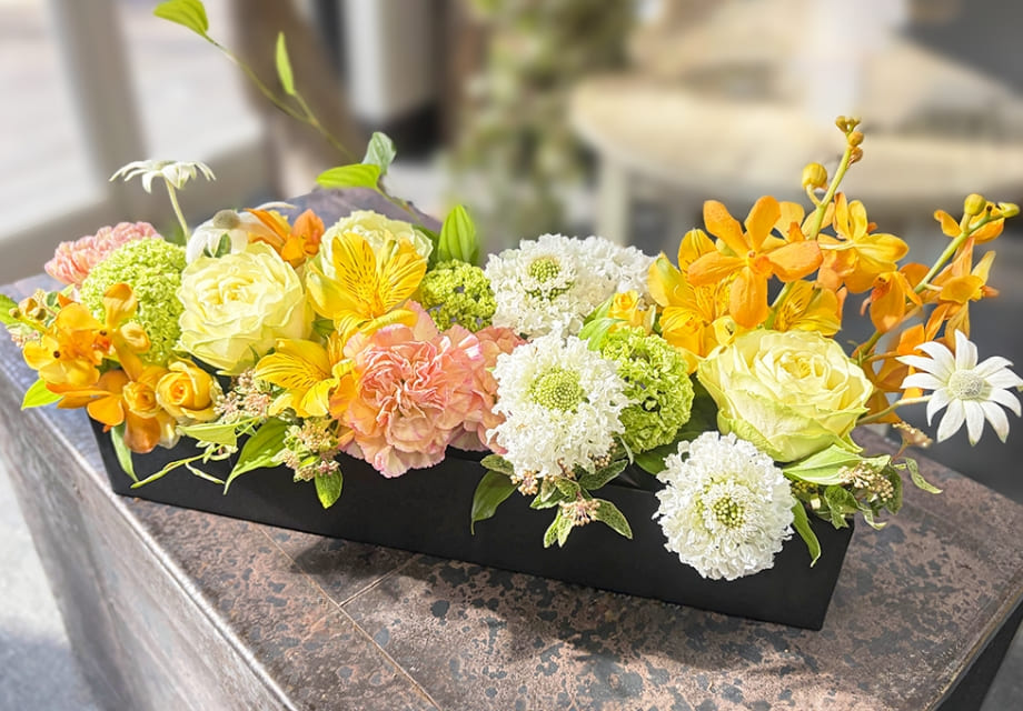 ランドスケープ ラージの商品写真