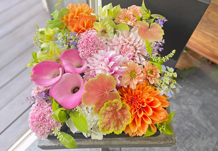 スクエア ラージの商品写真