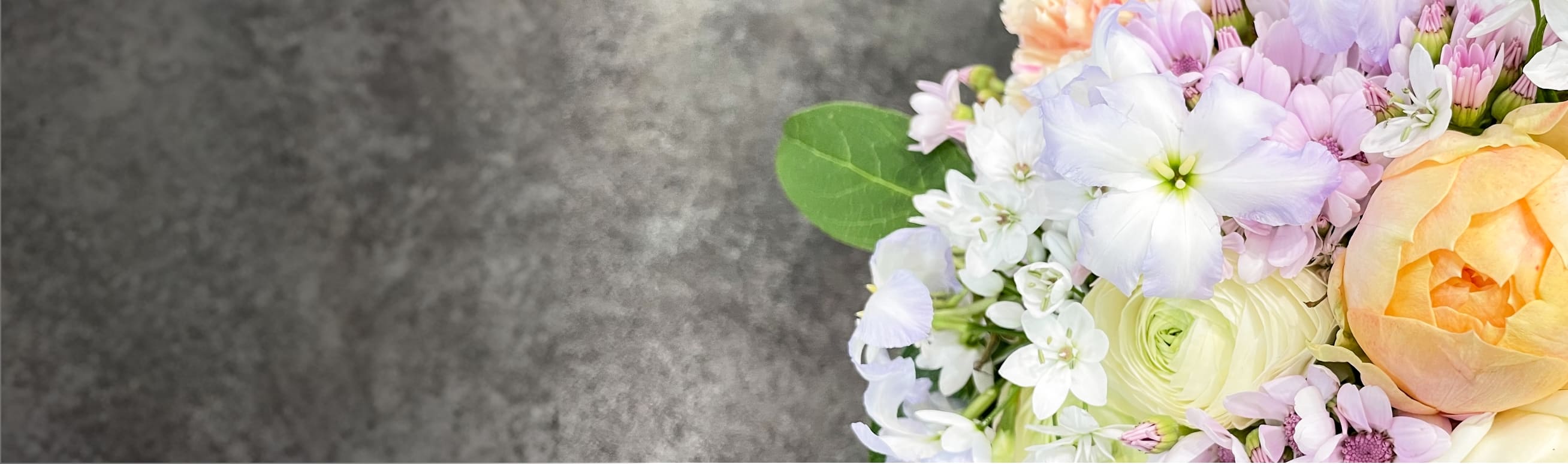 ページタイトル画像